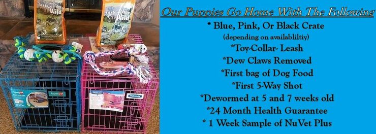 WE SEND HOME OUR PUPPIES WITH THE MOST STUFF, TOYS, LEASHES, COLLARS, CRATE, FOOD, FIRST SHOT, HEALTH GUARANTEE, AND A PUPPY CARE GUIDE. DEW CLAWS ARE REMOVED AND THEY ARE DEWORMED. WE ALSO SEND THEM HOME WITH A WEEKS SAMPLE OF NUVET